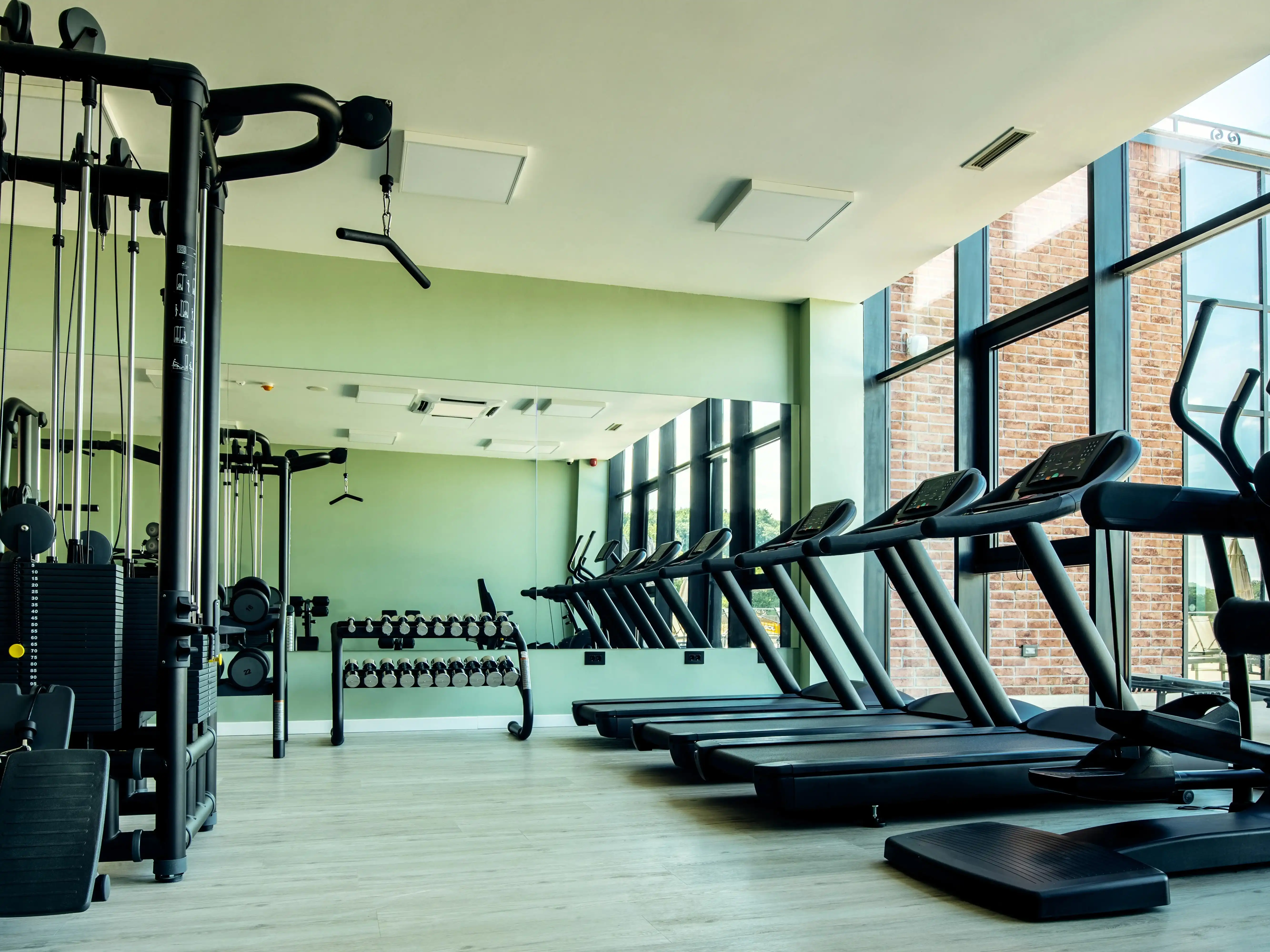 Professional Gym